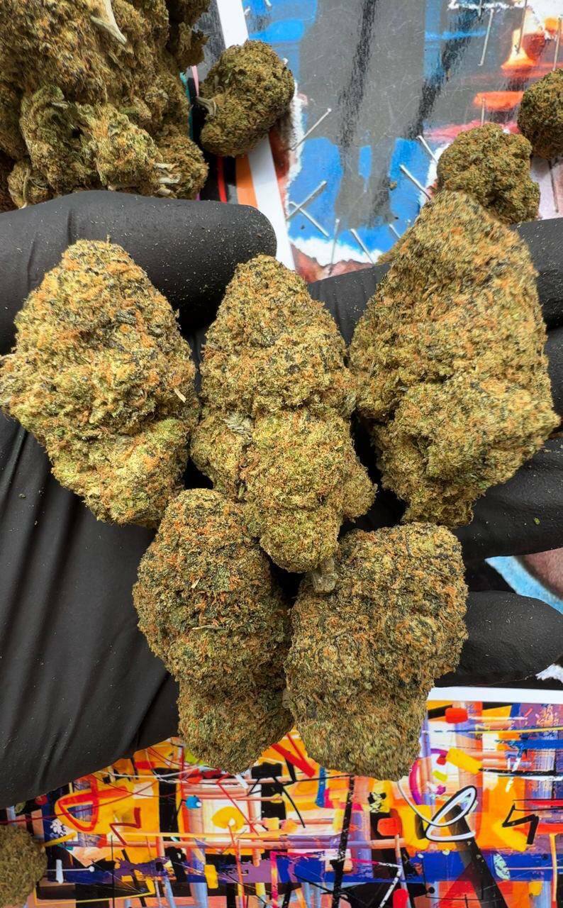 Bán Ma Túy Online: Đảm Bảo Ẩn Danh