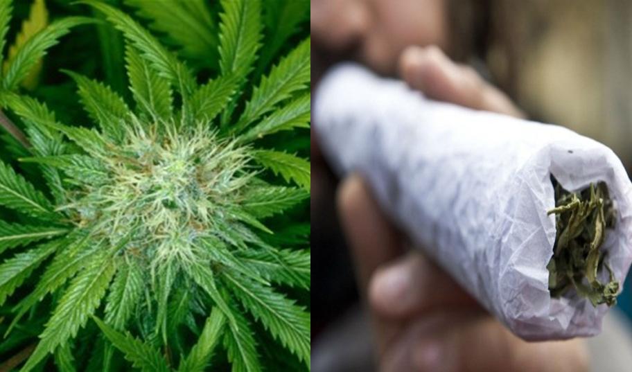 Mua Ma Túy Trực Tuyến: Không Lo Bị Phát Hiện